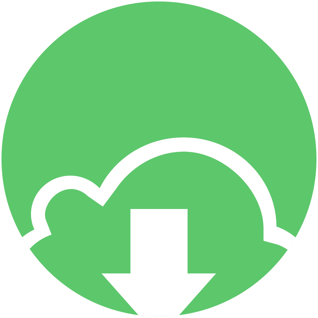 Download Radmin VPN